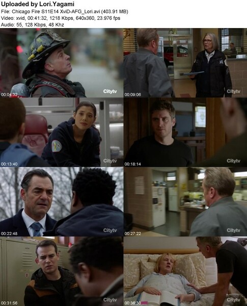 Chicago Fire S11E14 XviD-[AFG]
