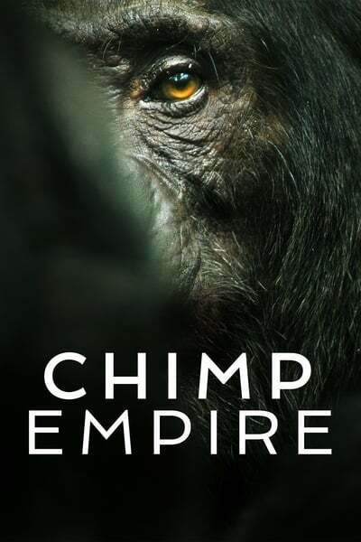 Chimp Empire S01E02 1080p HEVC x265-MeGusta