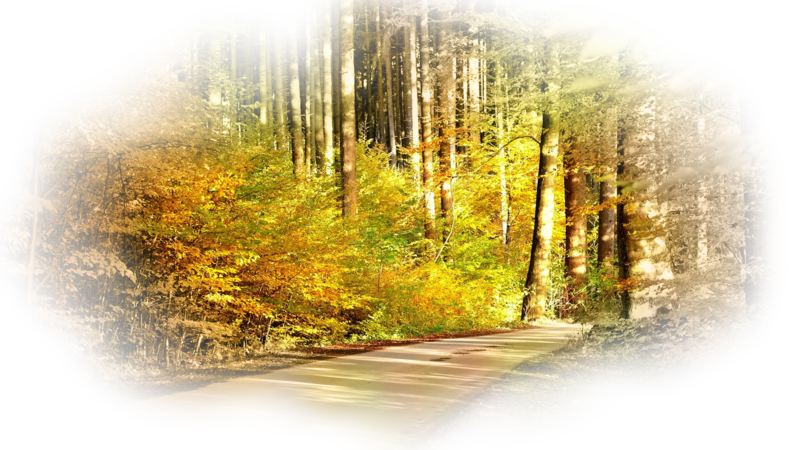 colorful-autumn-in-thsfelw.png