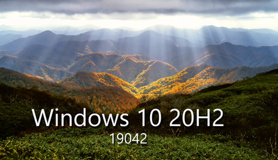 Windows 10 Pro 20H2 v2009 Build 19042.546 + Microsoft Office Pro Plus 2019