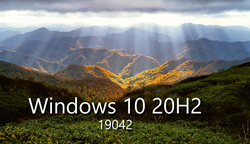 Windows 10 Pro 20H2 Build 19042.782 + Software (x64)