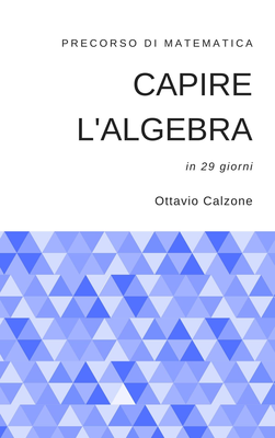 Ottavio Calzone - Capire l'algebra: precorso di matematica in 29 giorni (2020)