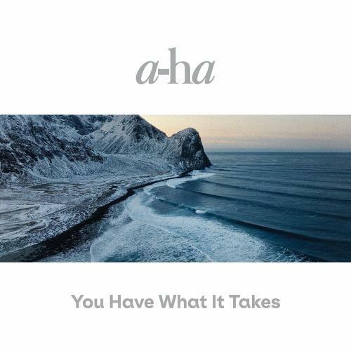 A-ha - You Have What It Takes (Single) (2022) (Lossless)