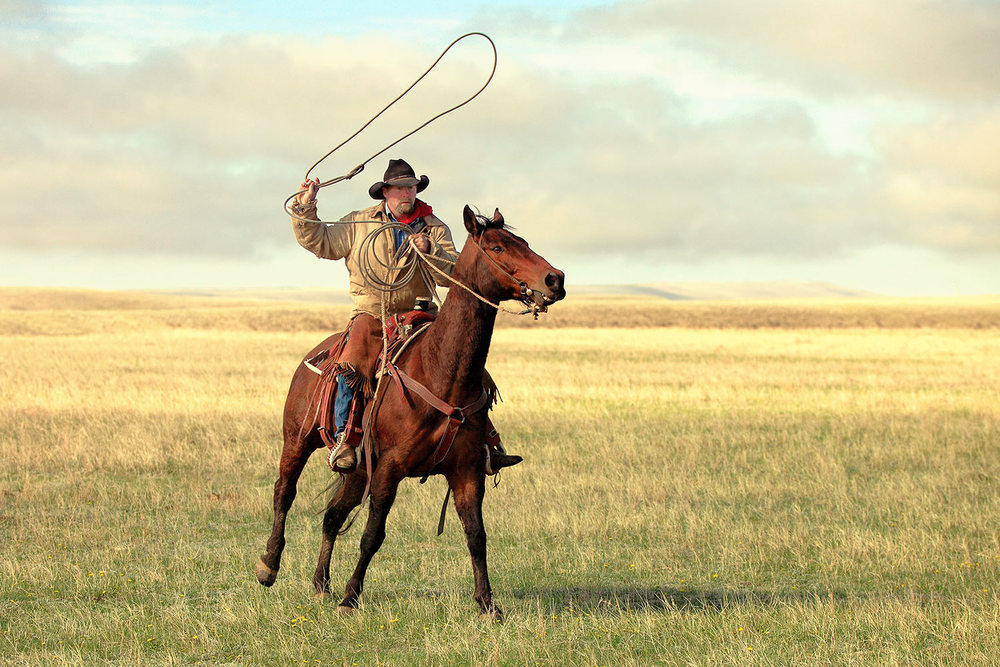 cowboy-swinging-rope-crs8n.jpg