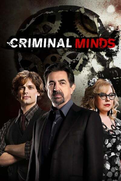 Criminal Minds S16E07 1080p HEVC x265-[MeGusta]