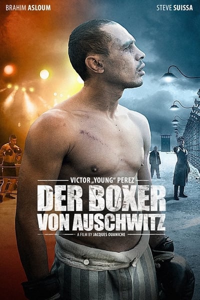 der.boxer.von.auschwikijcv.jpg