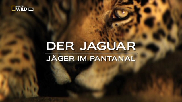 der.jaguar.jaeger.im.rirm2.jpg
