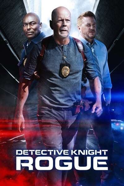 Detective Knight Rogue (2022) 1080p BluRay x264-RARBG