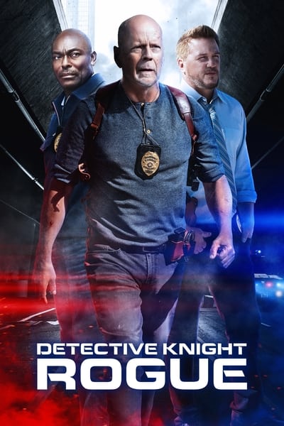 detective.knight.rogumycm3.jpg