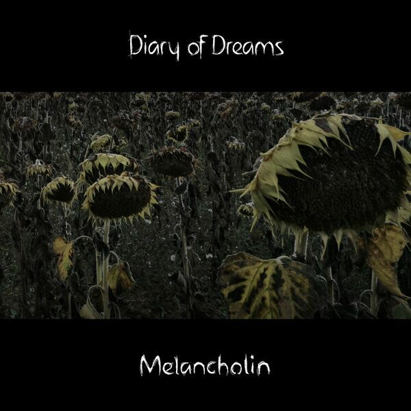 diary.of.dreams.-.mels7i1d.jpg