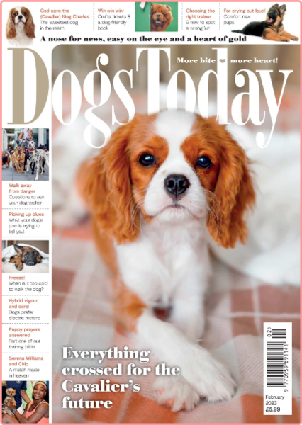Dogs Today UK-February 2023