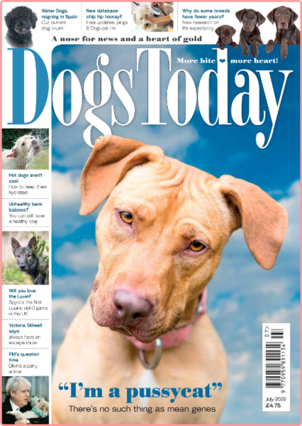 Dogs Today UK-July 2022