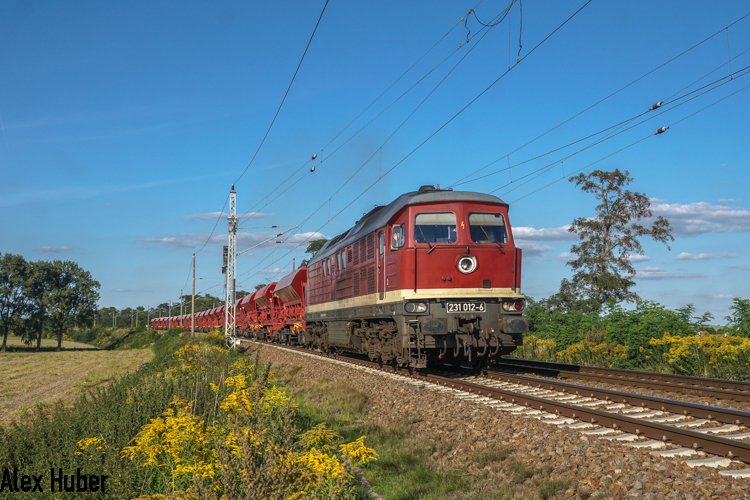 Russische Eisenbahn und Wiesengleis in und um Eilenburg Dsc00720-22mut1