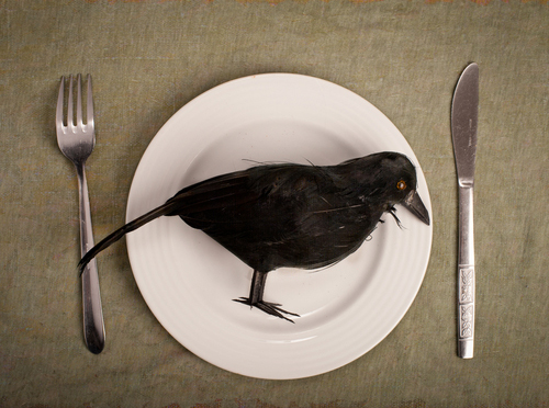 eat-crow6suru.jpg