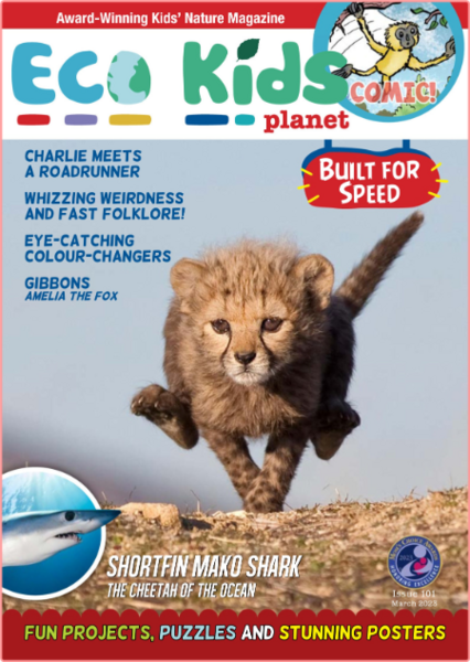 Eco Kids Planet Magazine-March 2023