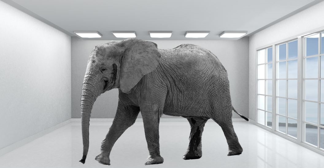 elephant-in-the-roomcspcg.jpg