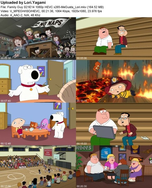 Family Guy S21E14 1080p HEVC x265-[MeGusta]