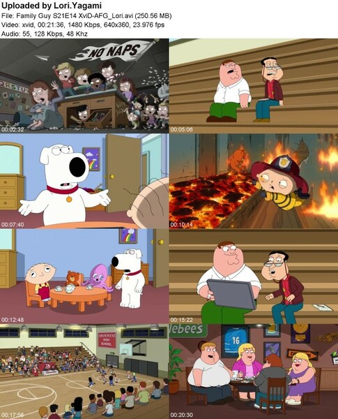 Family Guy S21E14 XviD-[AFG]
