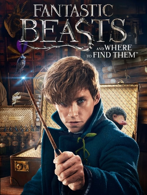 fantastic.beasts.and.nef6y.png