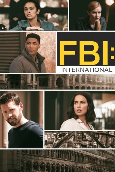 FBI International S02E12 iNTERNAL XviD-AFG