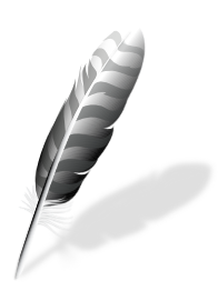 feather-with-shadowh8sju.png