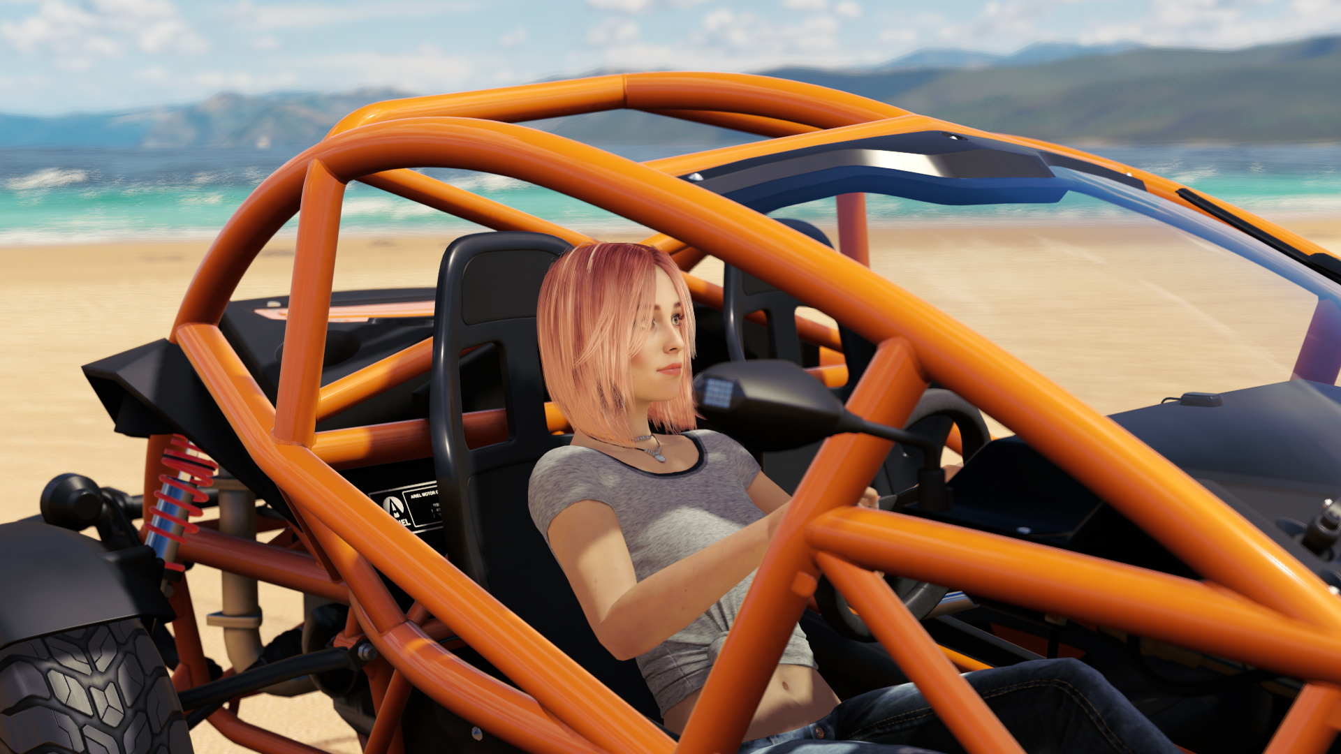 fh3203lxs19.png