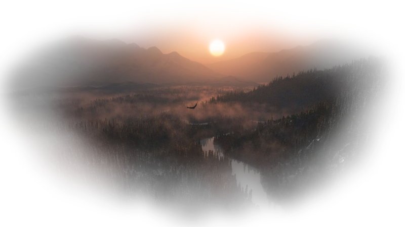 foggy-sunrise-in-the-idz28.png