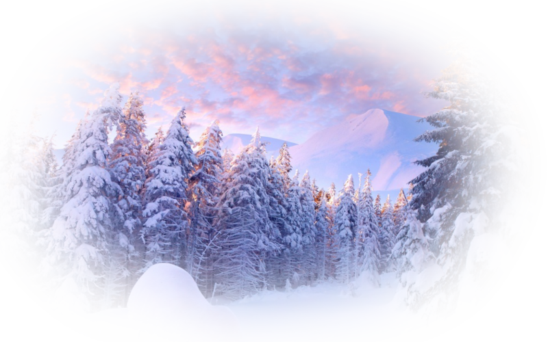 Прозрачные зимние картинки. Зима на прозрачном фоне. Зимний пейзаж на прозрачном фоне. Зимний лес. Февральский пейзаж на прозрачном фоне.