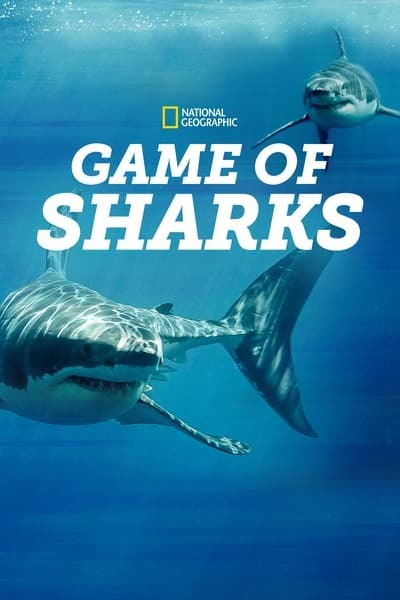 [Image: game_of_sharks_2022_7ffizo.jpg]