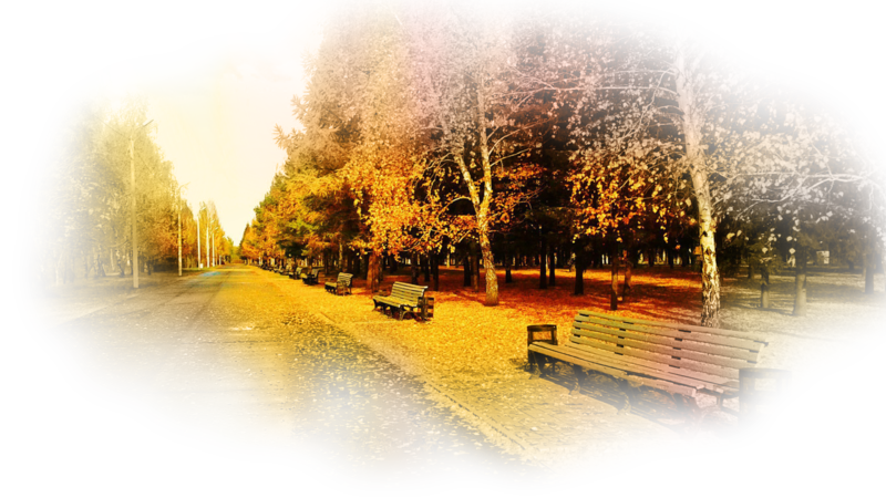 golden-autumn-in-the-2gzl0.png