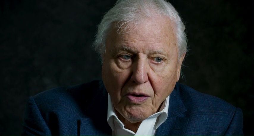 David Attenborough: Gezegenimizden Bir Yaşam Ekran Görüntüsü 2