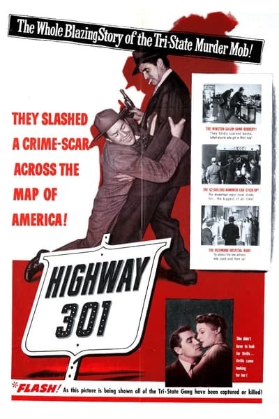 Highway 301 1950 DVDRip x264