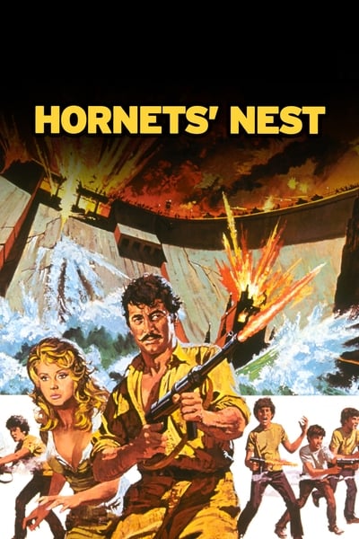 Hornets Nest (1970) PROPER 1080p BluRay-LAMA Hornets_nest_1970_pro2sfwv