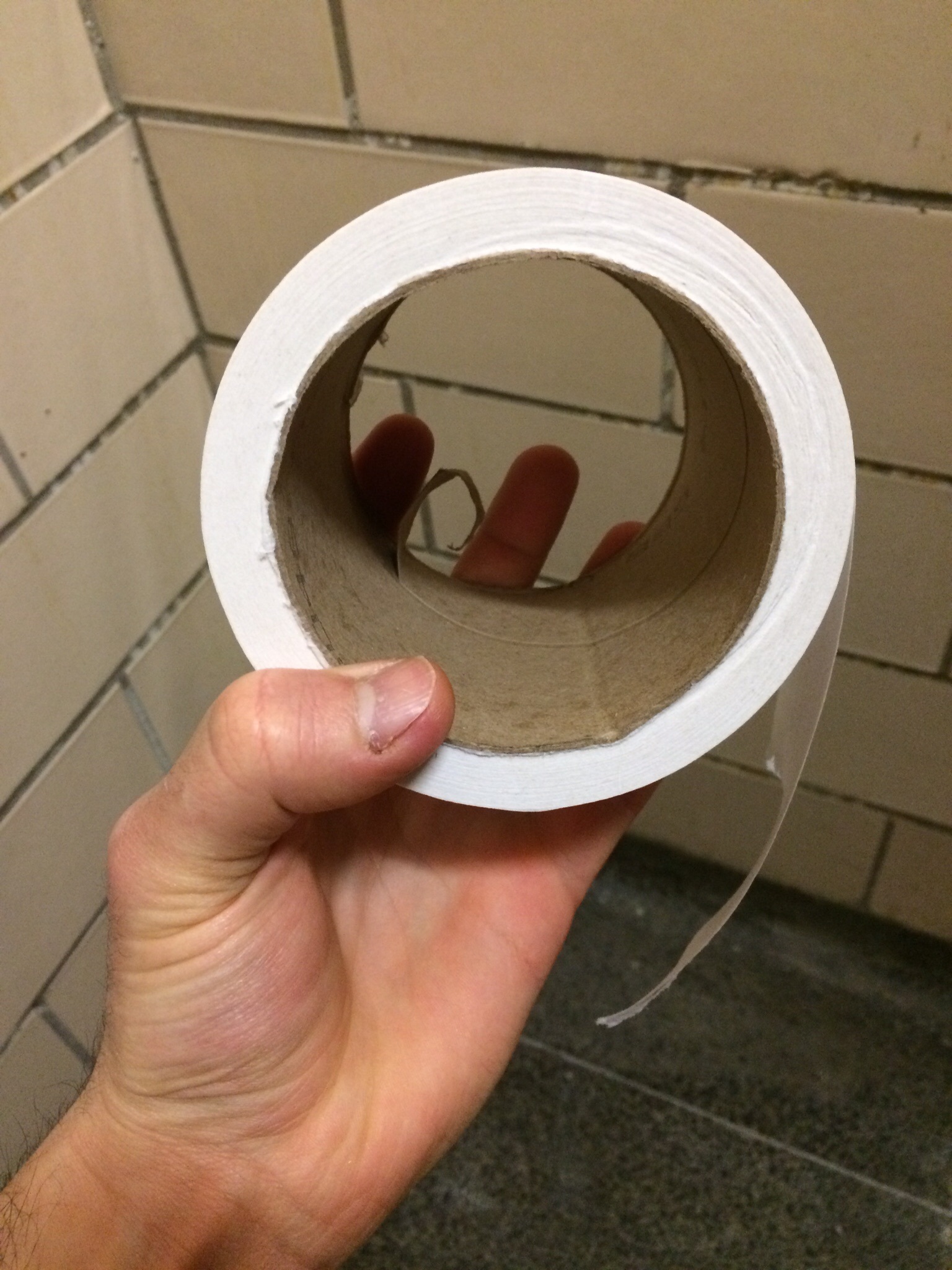 Toilet Roll Dick Test