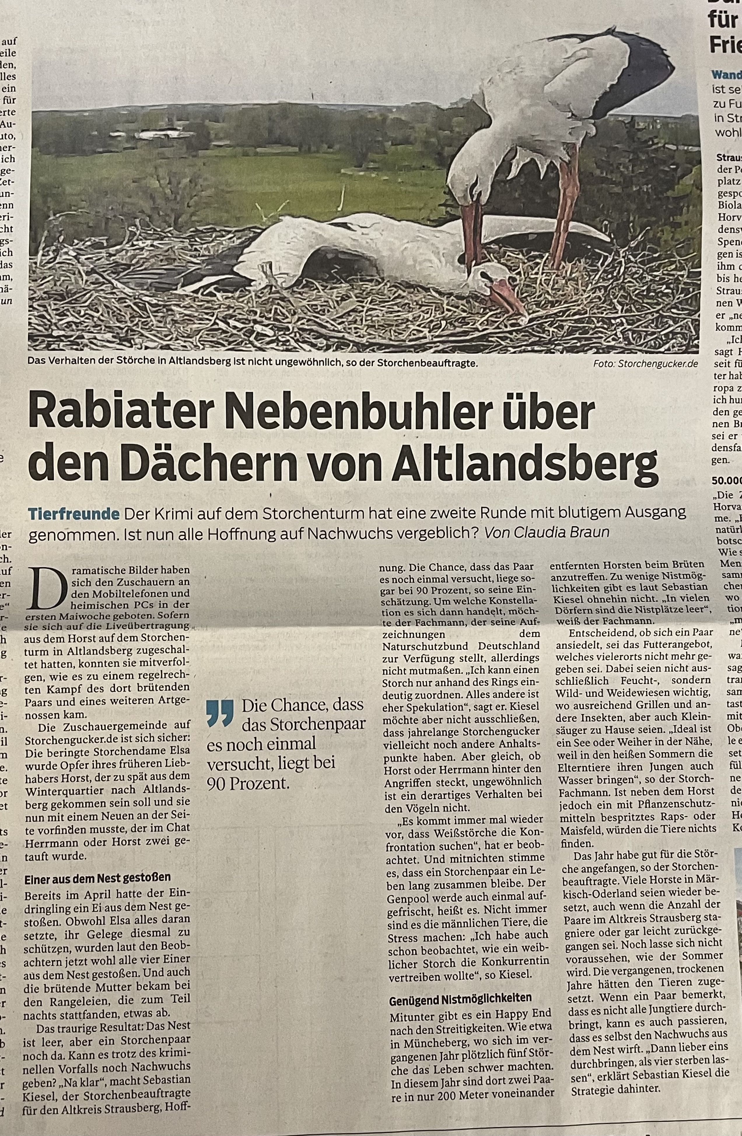 Informationen über das Storchennest Altlandsberg  Img_9042kiebv