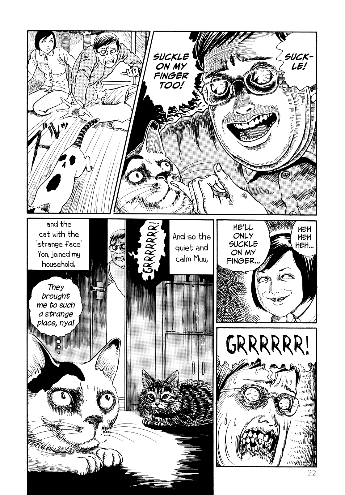 scans_daily Junji Ito's Cat Diary The Cat With the Cursed Face