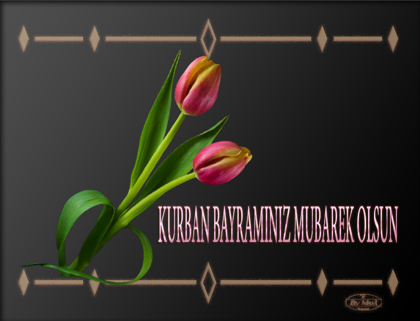 kurbanbayrami1qck8c.jpg