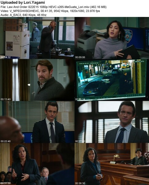 Law And Order S22E15 1080p HEVC x265-[MeGusta]