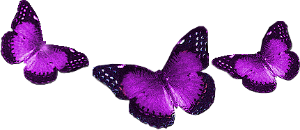 lila-kelebekler-grubuq8srr.gif