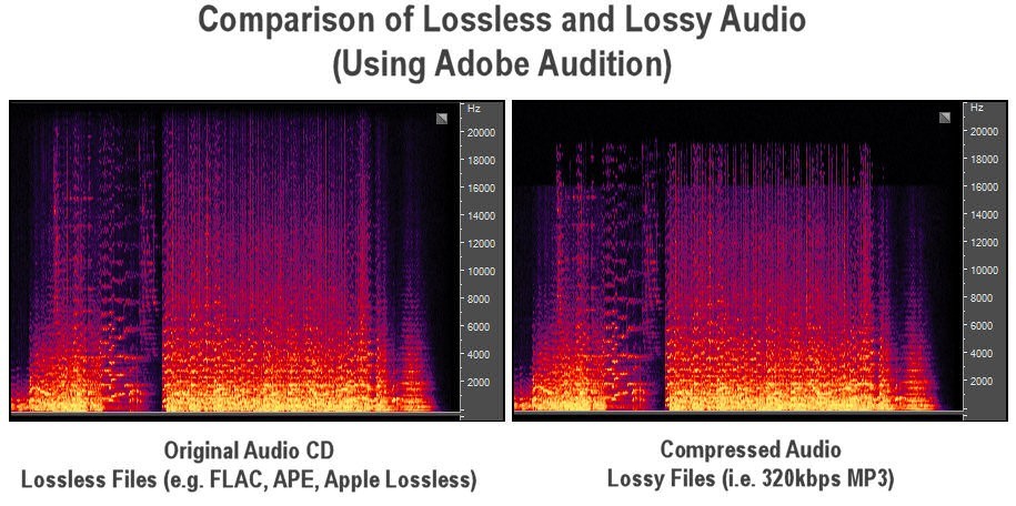 Advantages of lossless audio compression
