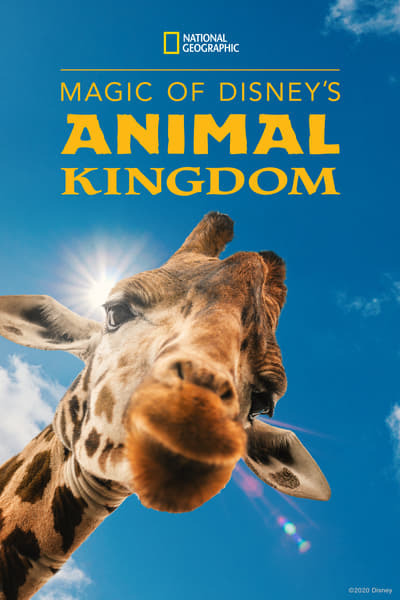 Magic of Disneys Animal Kingdom S02E01 XviD-AFG