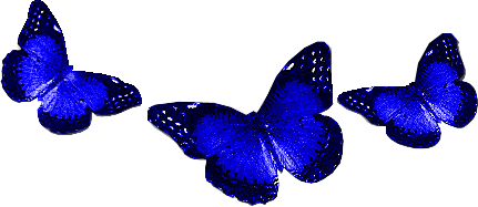 mavi-kelebekler-topluwrs3u.gif