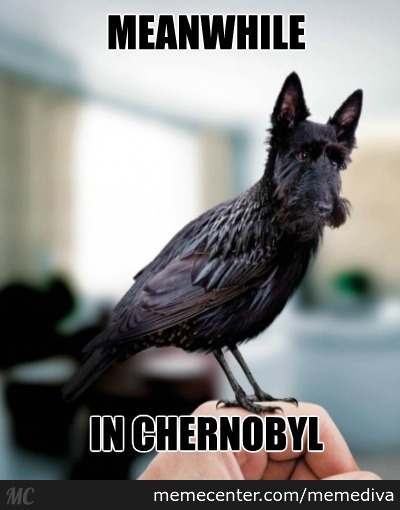 [Bild: meanwhile-in-chernobyj8jb0.jpg]