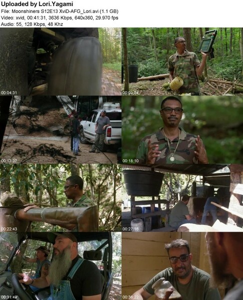 Moonshiners S12E13 XviD-[AFG]