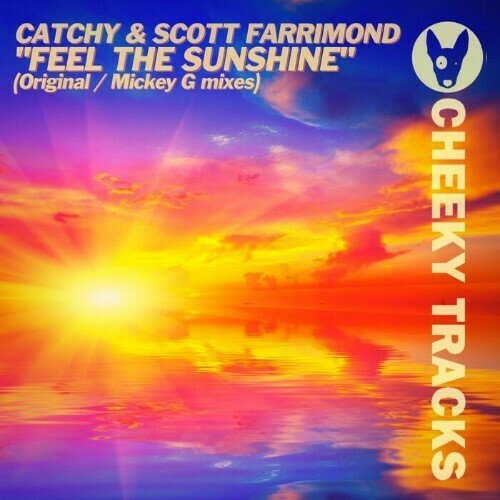  Catchy & Scott Farrimond - Feel The Sunshine (2023) 