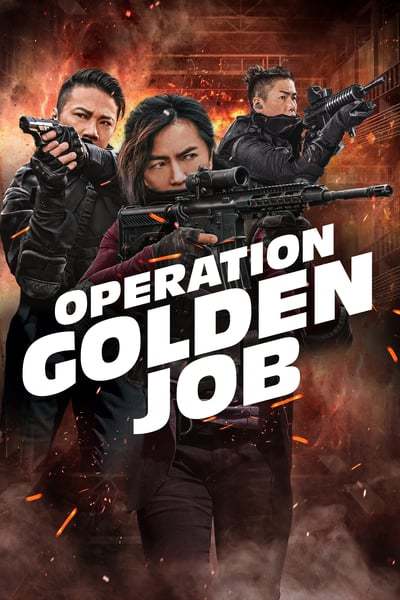 operation.golden.job.ykjhb.jpg