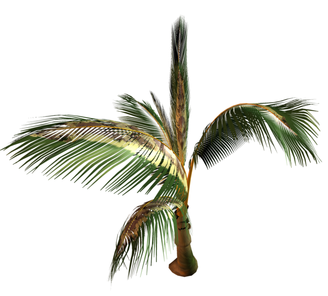 palms_png_7gnihm.png