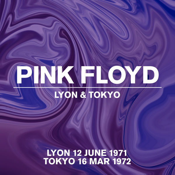 pink.floyd.-.lyon.12.wfi26.jpg