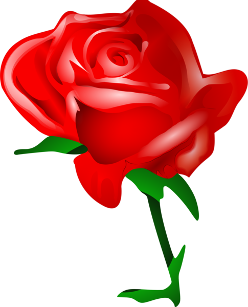 png_rose_png_gul_1_f1f2a.png