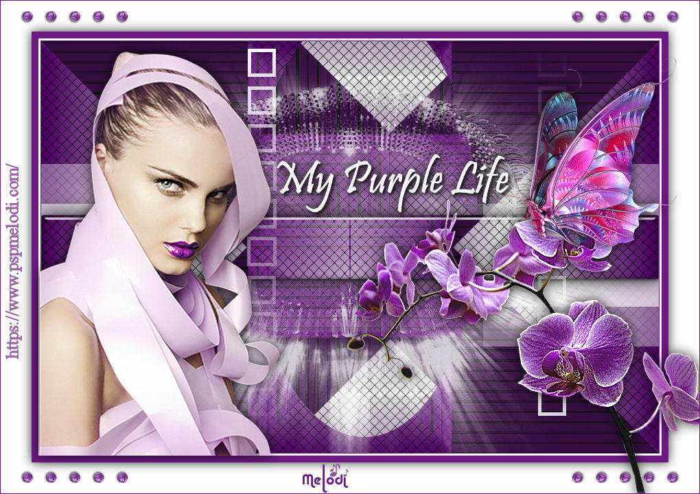 purplessd3a.jpg